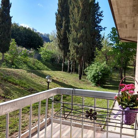 B&B Il Torchio-Урбино Экстерьер фото