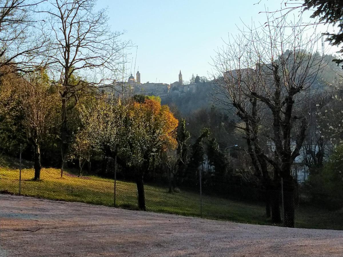 B&B Il Torchio-Урбино Экстерьер фото